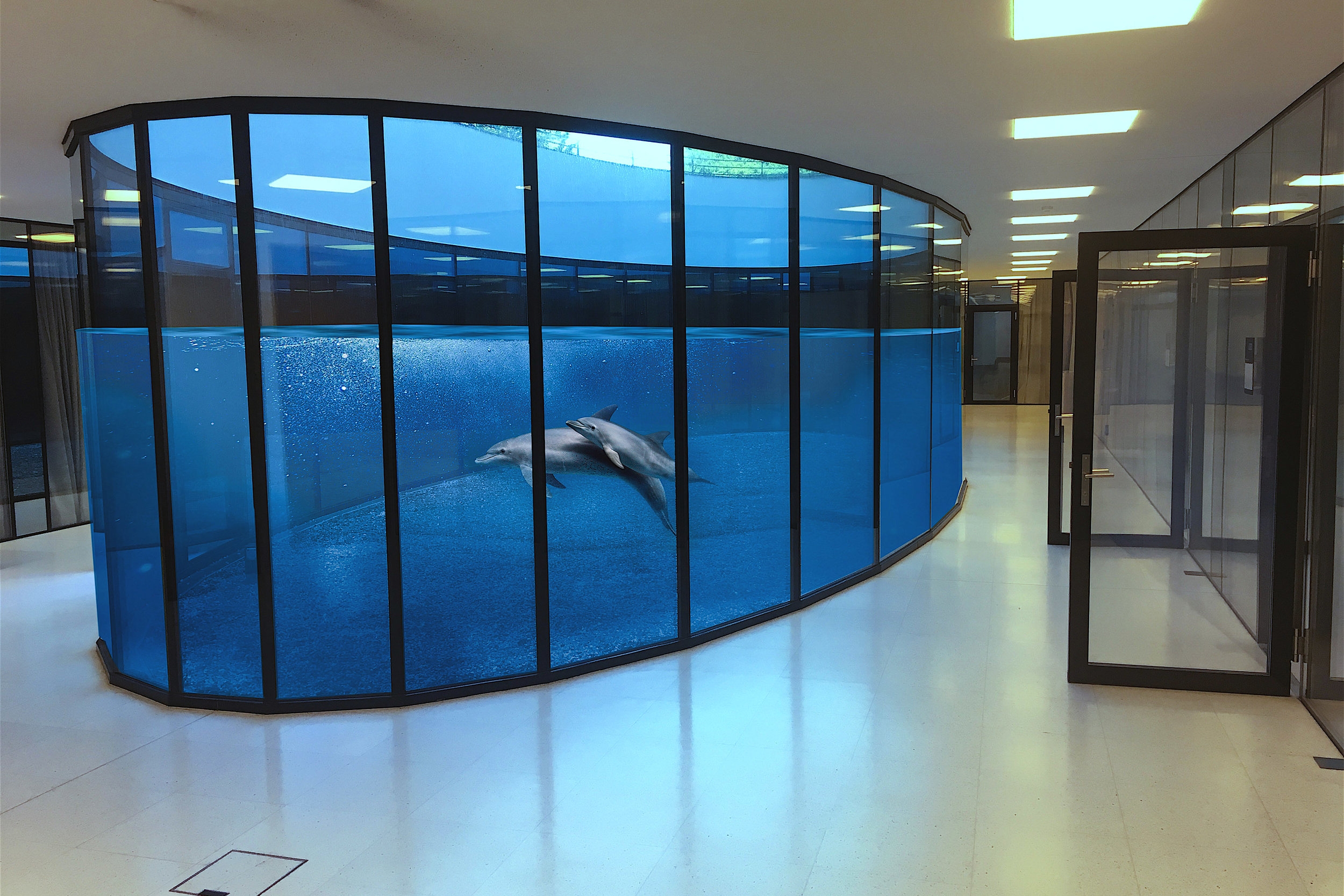 Überwältigender Erfolg für Ping-Pong-Tisch-Petition