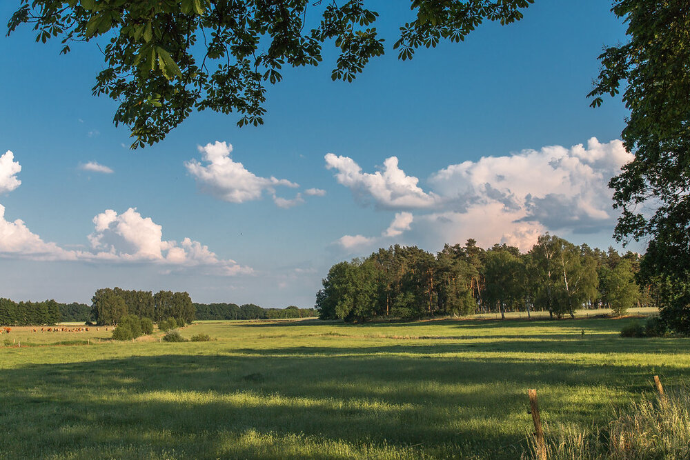 Landschaft aus Brandenburg.